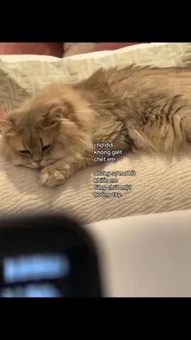 #uhht♡ 