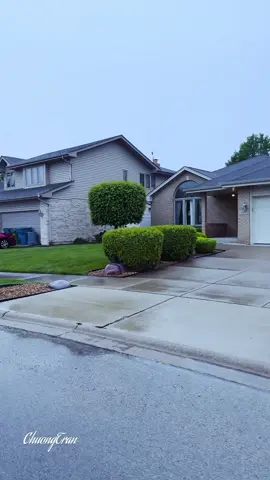 Chicago, Illinois: Một ngày mưa buồn 