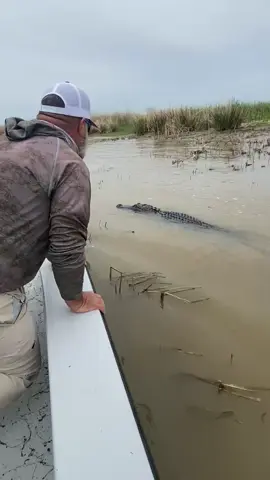 Gator slap! Reel Tite Fishing Venice Louisiana! Capt. Boola Landry #fyp #foryoupage #foryourpage #gator #gatorhunting #gatorhunt #charterfishing #venicelouisiana #reeltite #reeltitefishing #foryoupageofficiall www.reeltite.com 