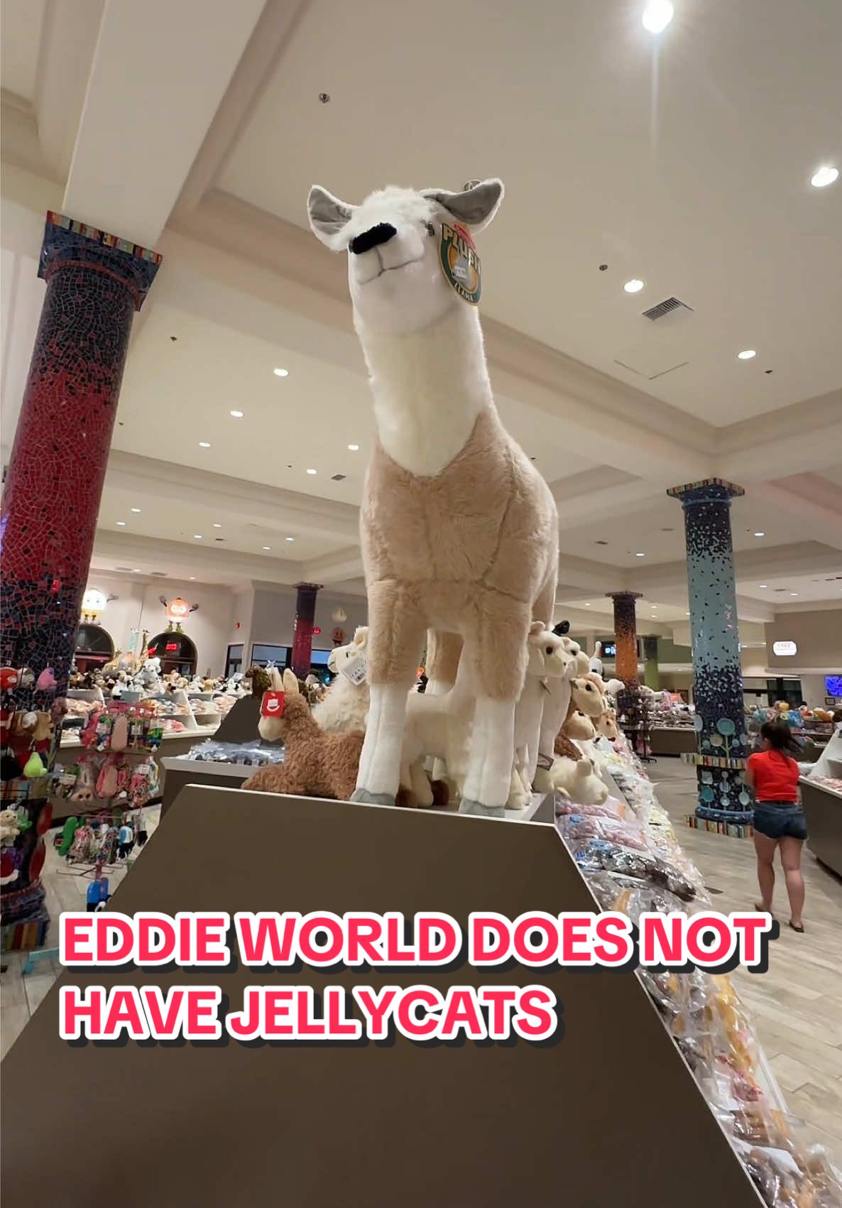 No @Jellycat at @EddieWorld 