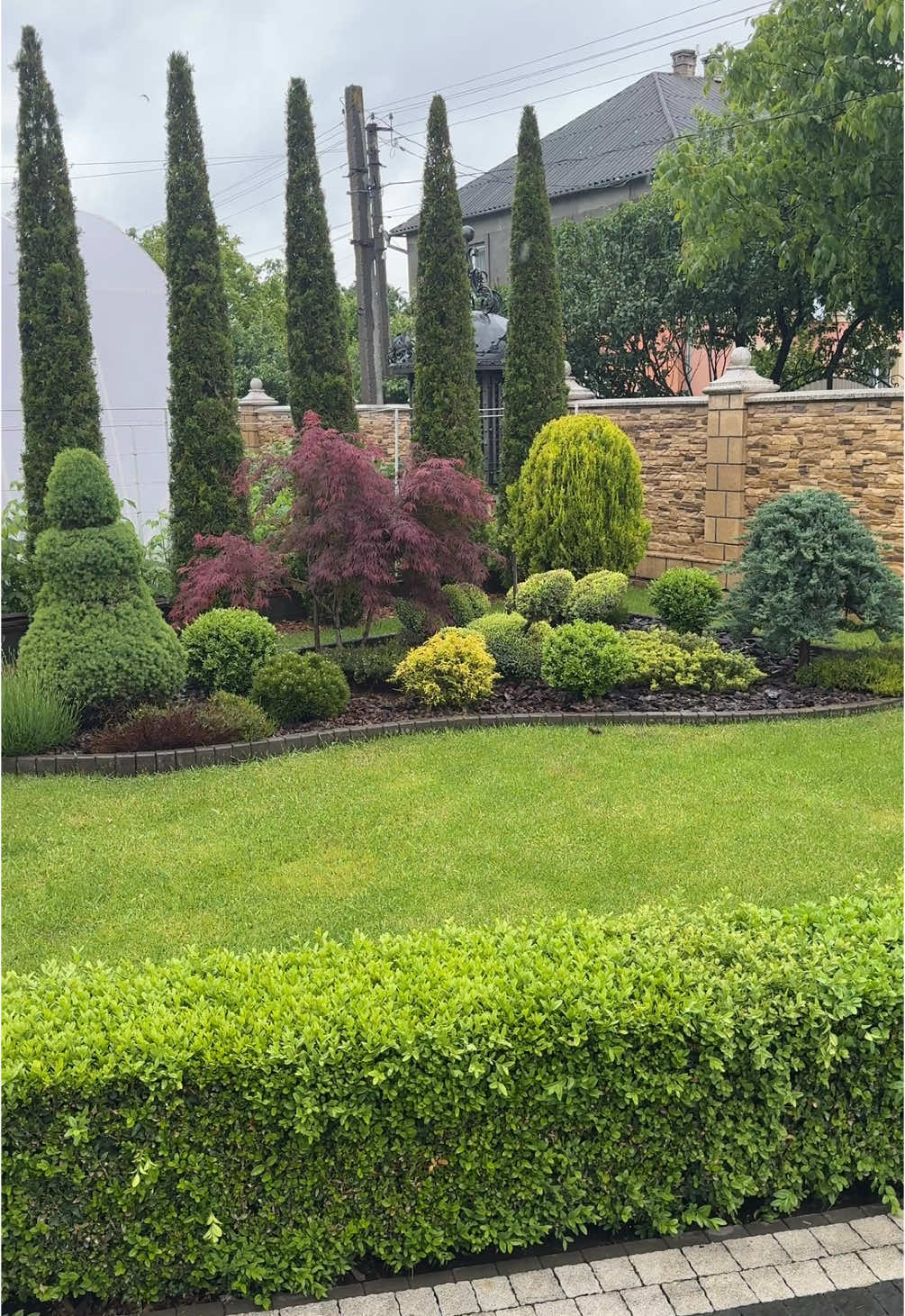 #greengardenchernivtsi #красота #vicovudesus #suceava #botosani #viral_video #рекомендации #стрижкарослин #самшит #decor #спираль @Illya 