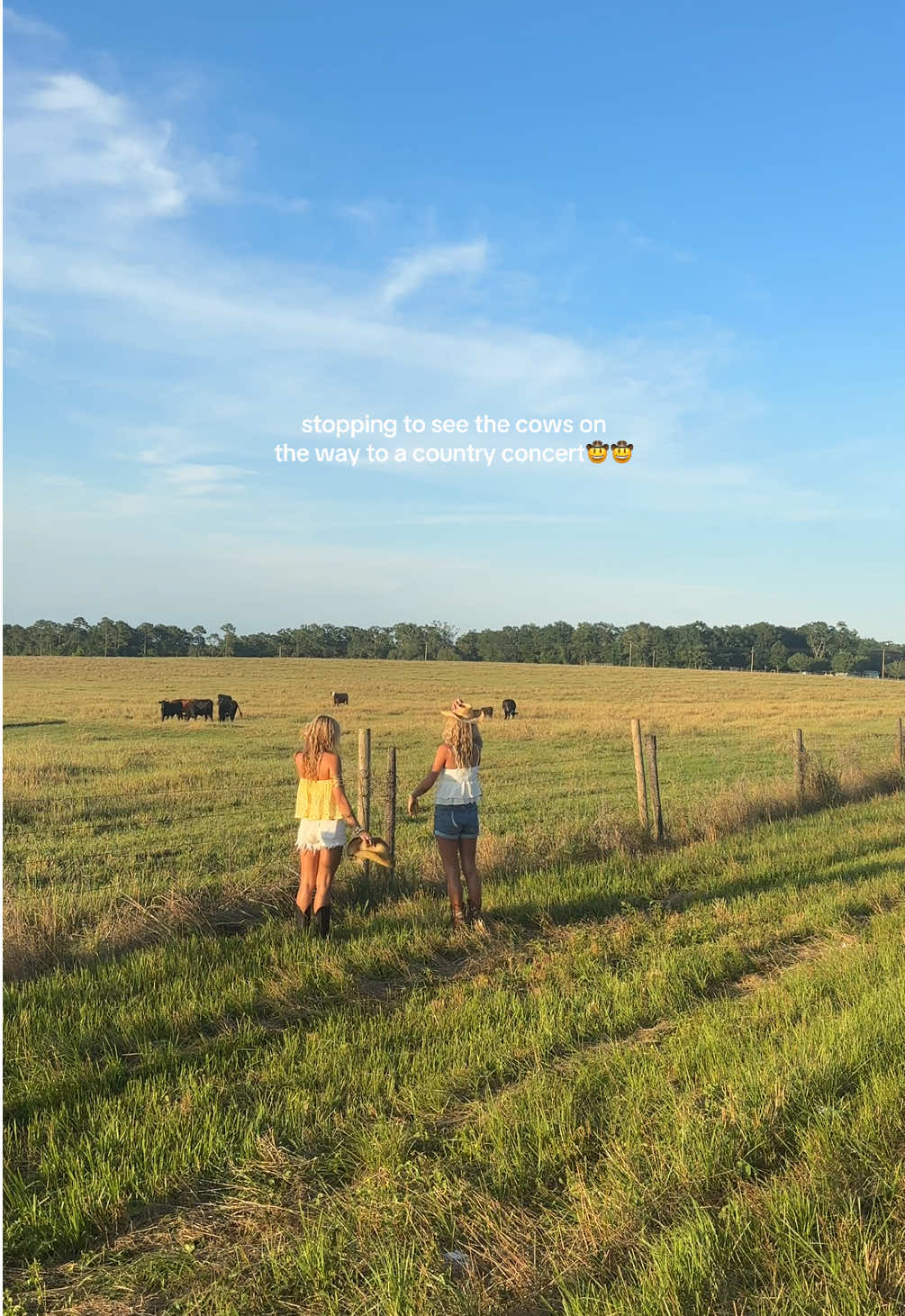 making every moment a memory!!!  #countryconcert #countryroads #summertime #cows #fyp 