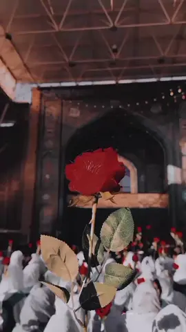 #پھر۔مقدر۔میرا۔لاالہ۔ہو۔گیا ۔میرا۔یسین۔سے۔نکاح۔ہوگیا ❤🙌#دلہن۔ہے۔بیبی۔فاطمہؑ۔دلہا۔ابو۔تراب۔ہے ❤💙#تمام۔مومین۔و۔مومنات۔کو۔بہت۔بہت۔مبارک۔ہو #ali_mola_ali_mola❤🙌 #fazalabbas1214 #shiastatus #plzsupport #foryoupage #trending #viralvideo 
