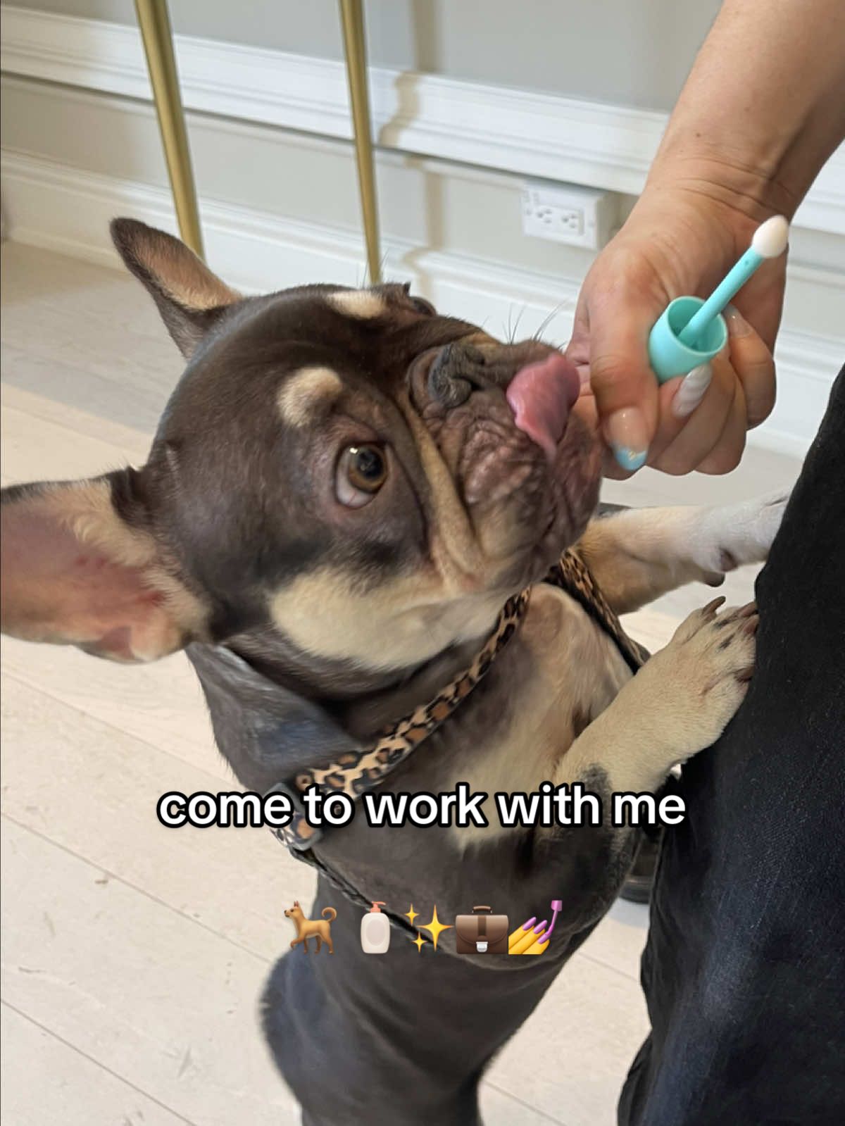 Come to work with me at @Kate Somerville ✨🐾 Spoiler: I didn’t make it to 5PM 😅🫣 @katesomervilleskinclinic 