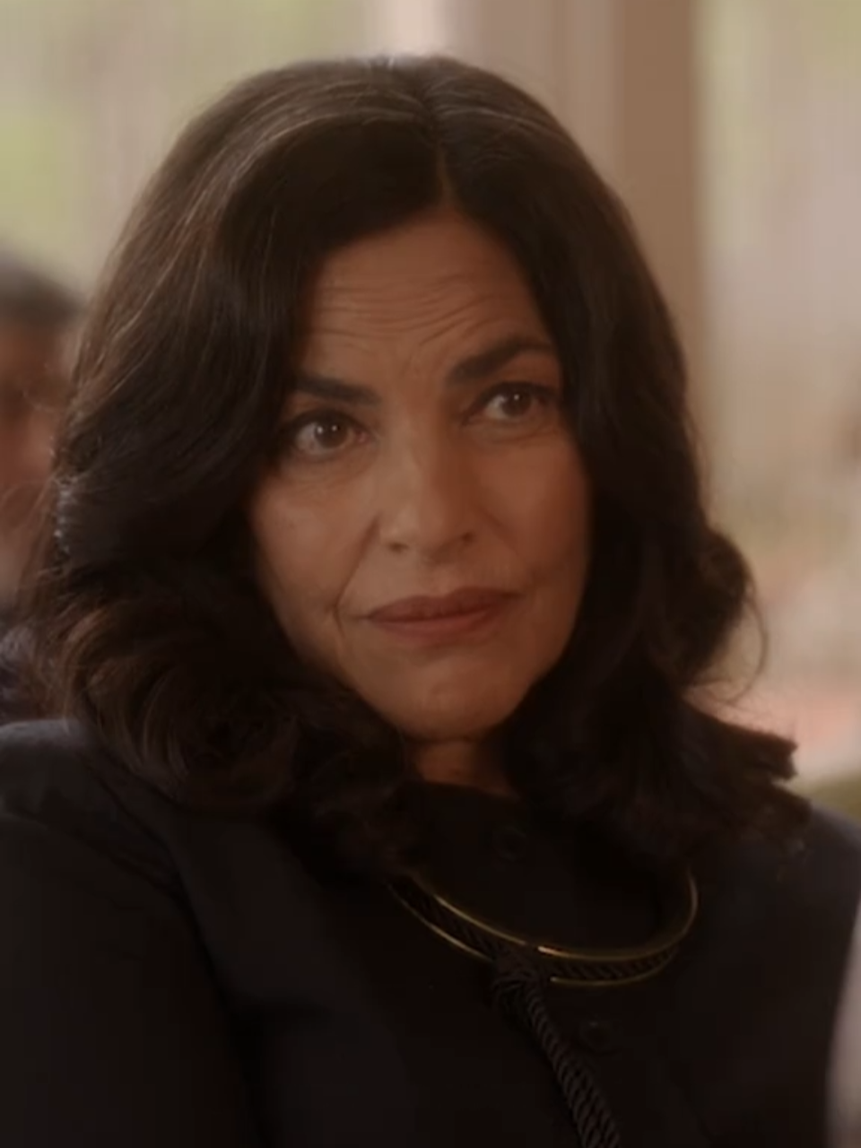 Returning to screens in Season 3 of #AndJustLikeThat as Seema Patel, is the incredible Sarita Choudhury 🌟 As a bold and powerful Indian woman, Seema's charisma and confidence light up every scene and her dynamic with the iconic Carrie Bradshaw makes for one unforgettable duo. Stream the new season on May 29, only on @StreamOnMax!