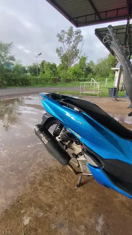 ล้างรถรอฝน🤟🏻✅#ศรีสะเกษหวานมาก #pcx160แต่งสวย #pcxดิวะ #ฟีดดด 