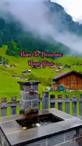 Hum To Deewane Huye Yaar | Lagu Nustan #bollywoodmusic #bollywoodsongs #desitiktok #bollywooddance #bollywoodsongs #rossufi_official 