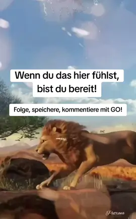 Die Welt gehört nicht den Leisen. Sie gehört den Mutigen!