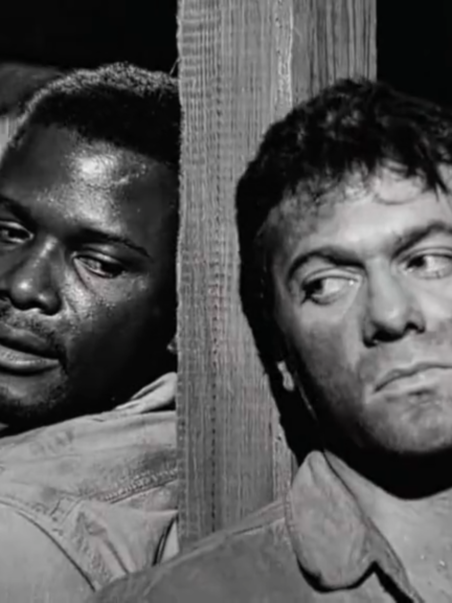 melhor casal de todos ;-; #thedefiantones #brokebackmountain #tonycurtis #vaiprofycaramba #acorrentados1958 #fyp #heartstopper #viral #sidneypoitier  ENTREGA PRO BRASIL TITKOK