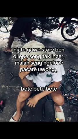 mleset ju