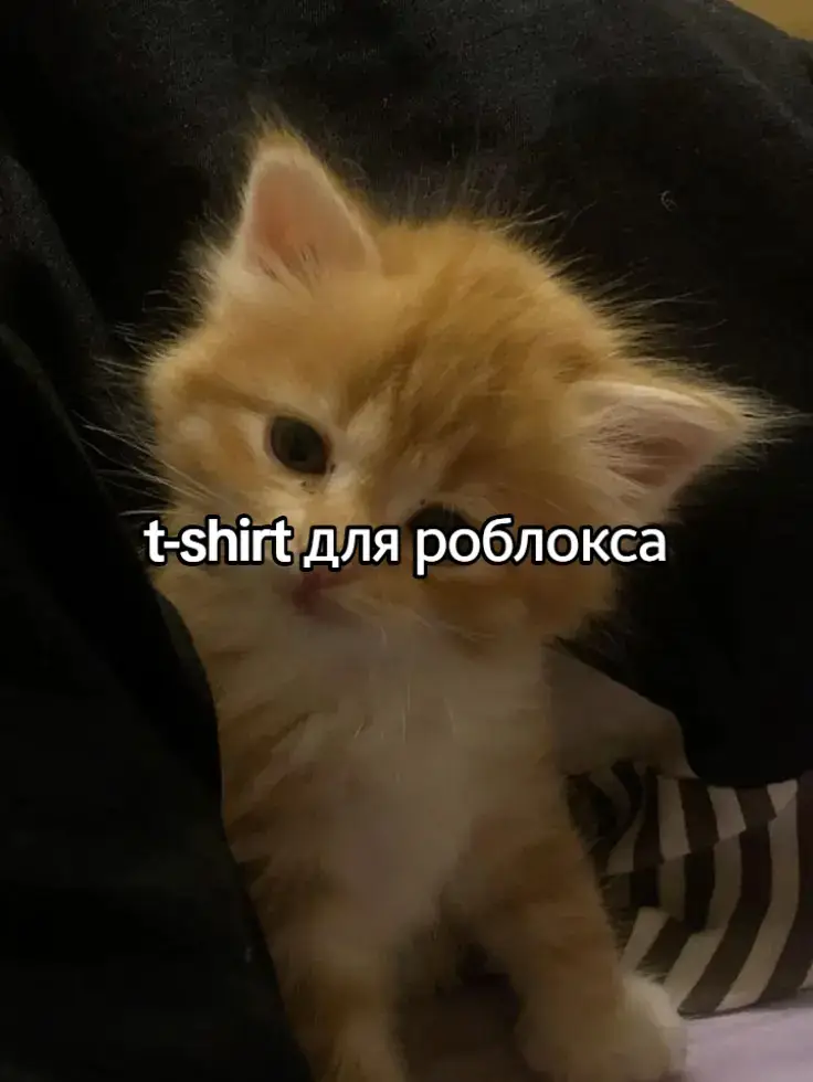 надеюсь помогла #топ #залети #рекомендации 