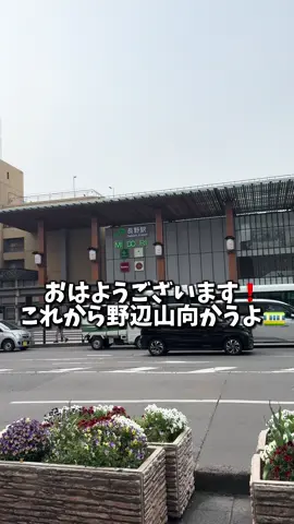 お待たせしましたー‼️‼️ 聖地巡礼旅LAST動画です😻 詰め込みまくった結果2分になってしまった( ᴖ ·̫ ᴖ ) 私の感想語彙が元太と同レベ👊😻 誰かの参考になれば嬉しいし、行った気持ちになってくれたら嬉しいです🩵 編集スピード🐢すぎて情けない TwitterをXと呼ぶにはあと何年かかるかなぁ😻😻 ここまで読んでくれた人にプチ報告なのですが、 今のとこコナンしかあげてないから何とも…なんですけど6月からしばらく、コナン関連あがらないかもしれないです👓🎀 とある島へプチ移住することに…‼️😻 #隻眼の残像 #長野県警 #聖地巡礼 #名探偵コナン #諸伏高明 #Vlog #コナン #国立天文台野辺山 