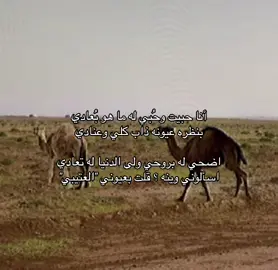#CapCut #الدوادمي #برقا #عتيبه #روق 