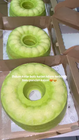 Order via toko oren/wa yaa bebs 🥰🤩 #fypage #fyp #fypシ゚ #bolukukus #bolupandan #boluketanhitam #ketanhitam #viral #jajanantiktok #Foodie #foodtiktok #cemilan 