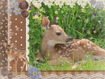 Fawn #animals #nature #fawn #deer #wildanimals #animaltok #animal #cute #cutie #twee #childhood #fyp #fyyp #bored #lace #grass #flowers 