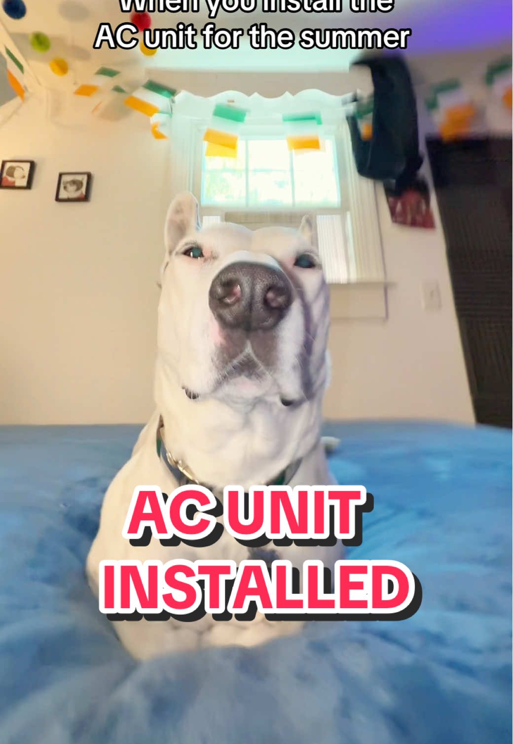 It’s on 64 degrees (17.7 C) 🥶❄️🧊#ac #airconditioner #aircon #airconditioner #Summer #maine 