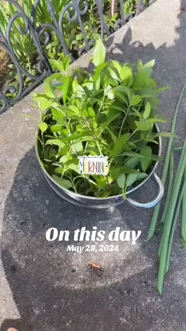 #onthisday 