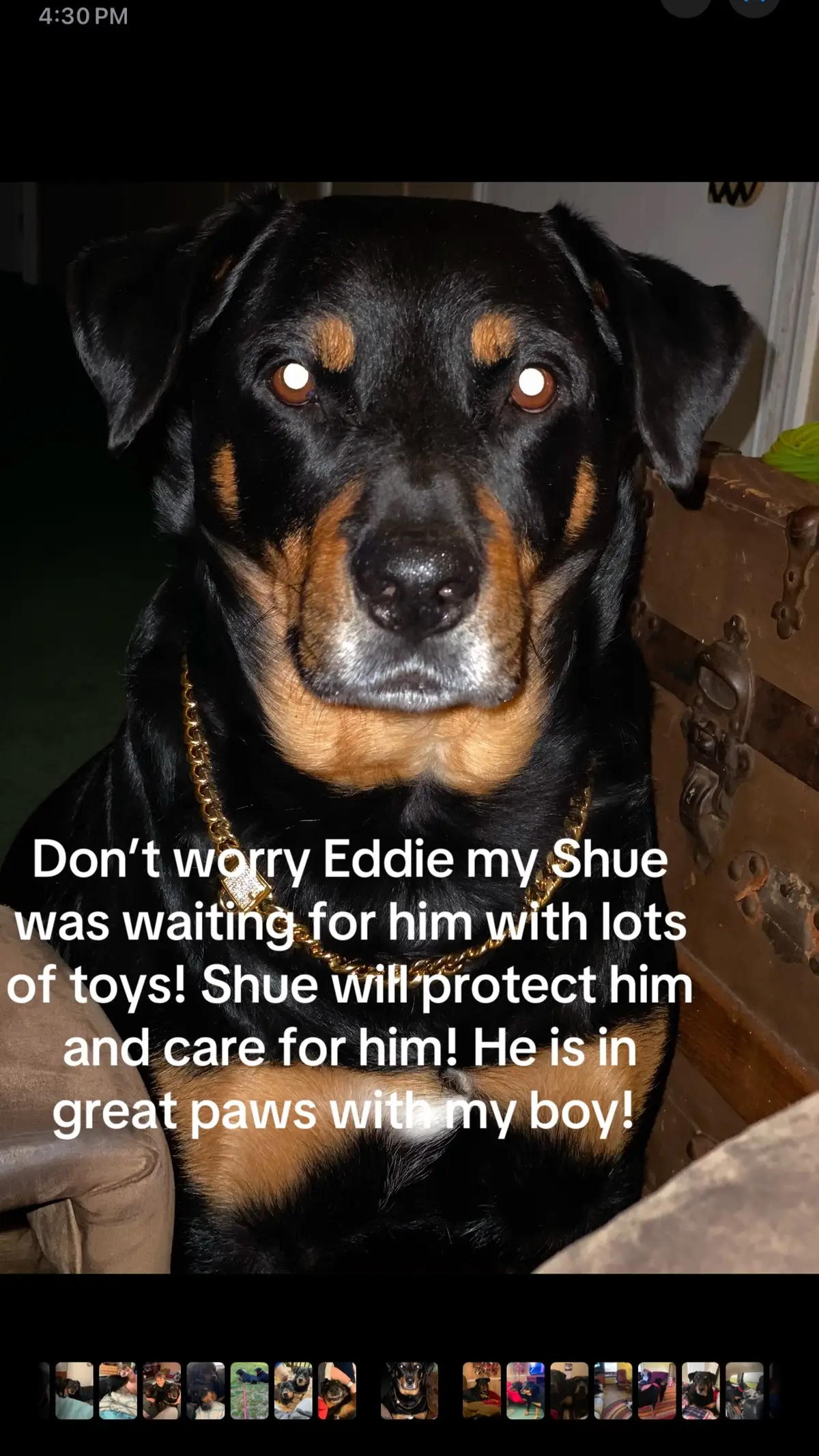 Don’t worry Shue is showing him the ropes and protecting him! @Eddie #ShueMonster 