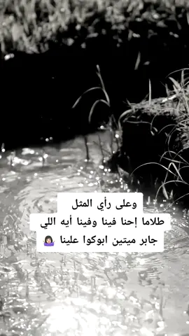 #خيل_وخياله🐎 #خيل_حصان_فرس_مهره_خيول_امهار_العاديات #horseriding #fouryoupagee #explorepage✨ #horseriding #horseriding 