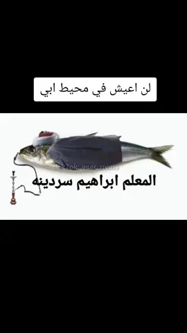 #لن_اعيش_في_جلباب_ابي #ميمز #memes #foryou #foryou #funnyvideos #ضحك #