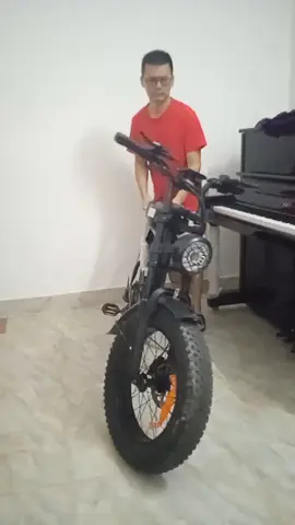 Affordable fast electric bike