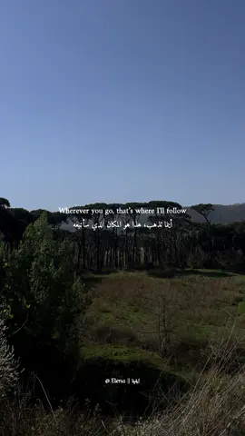 Nobody's Promised Tomorrow🍃. #ladygaga #brunomars #diewithasmile #song #america #usa #edit #capcut #aesthetic #viral #viralvideo #fyp #foryoupage #foryou #explore #veiws #elena #imelena 