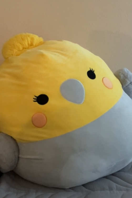 I didnt have my good courset anymore so heres my tiny courset on my GIANT bird lol #squishmallows #funny #plushie #plush #cute #fyp #foryoupage #courset 