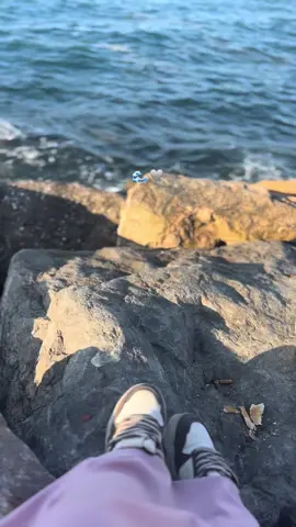 🌊🩶 #CapCut #seat #mas #algeria #fyp #fouryou #2025 #fyyyyyyyyyyyyyyyyyyyyyyyyyyyyyyyyyy #me #mer #favorite #asmr 