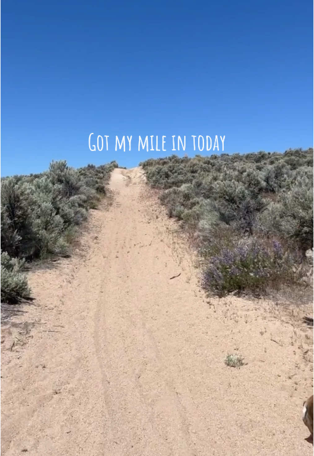 Take care of you #MentalHealth #SelfCare #selflove #postpartum #sahm #momlife #postpartumfitnessjourney 