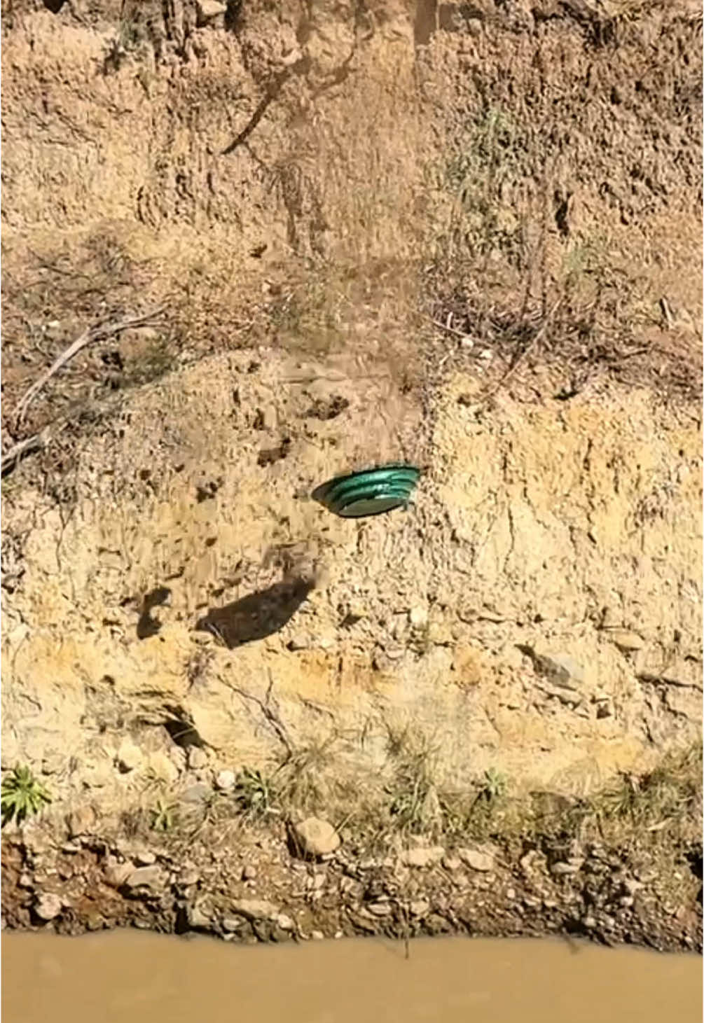Prospecting the ancient riverbed for GOLD #goldpanning #mining #creatorsearchinsights @Picket Prospecting 