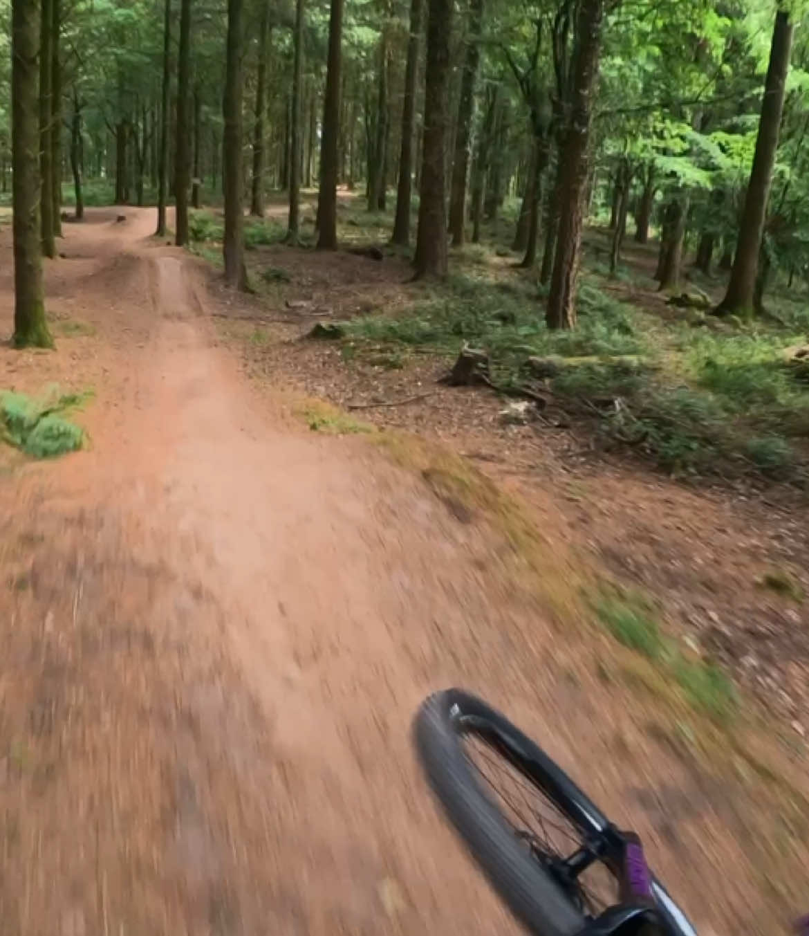 Pumping and jumping because my leg hurts #mtb #mtbjumps #mtbflow 