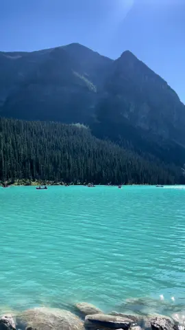 Lost in the magic of Lake Louise, Alberta — where the mountains meet the sky #lakelouise #banffnationalpark #canadatravel #albertaviews #mountainmagic #naturevibes #turquoiselake #travelinspo #alberta #hiddenparadise #canada_life🇨🇦 #canada🇨🇦 #wildcanada #mountain #lake #views #travel 
