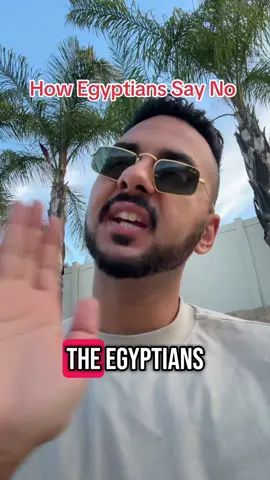 How Egyptians Say No without words 😂😭  #arab #egyptian #funnyarabs #ArabTikTok #تيك_توك #عرب #مصر #لك  #مصري#عرب #arabcheck #middleeastern #arabmom #tiktokarab #arabhumor #fyp #egypt #arabdad #arabictiktok #arabicmusic #arabfunny #مصر #arabfunnymemes #arabfunnytiktok #arabic #learnarabic #🇱🇧 #🇪🇬 #arabicwords #arabicwordoftheday #egyptiantiktok #egyptianarabic 