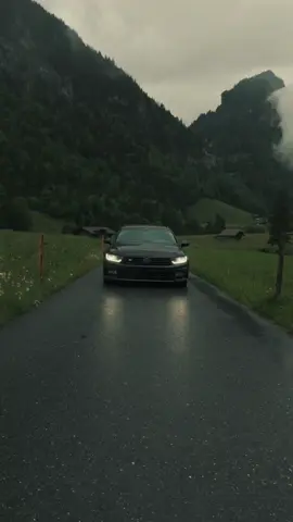 Swiss Alps or rainforest?🇨🇭 #vw #volkswagen #passat #b8 #passatb8 #low #deep #static 