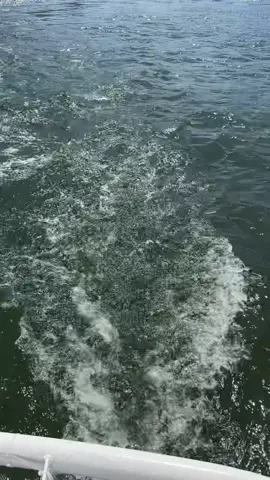 #fyppppppppppppppppppppppp 