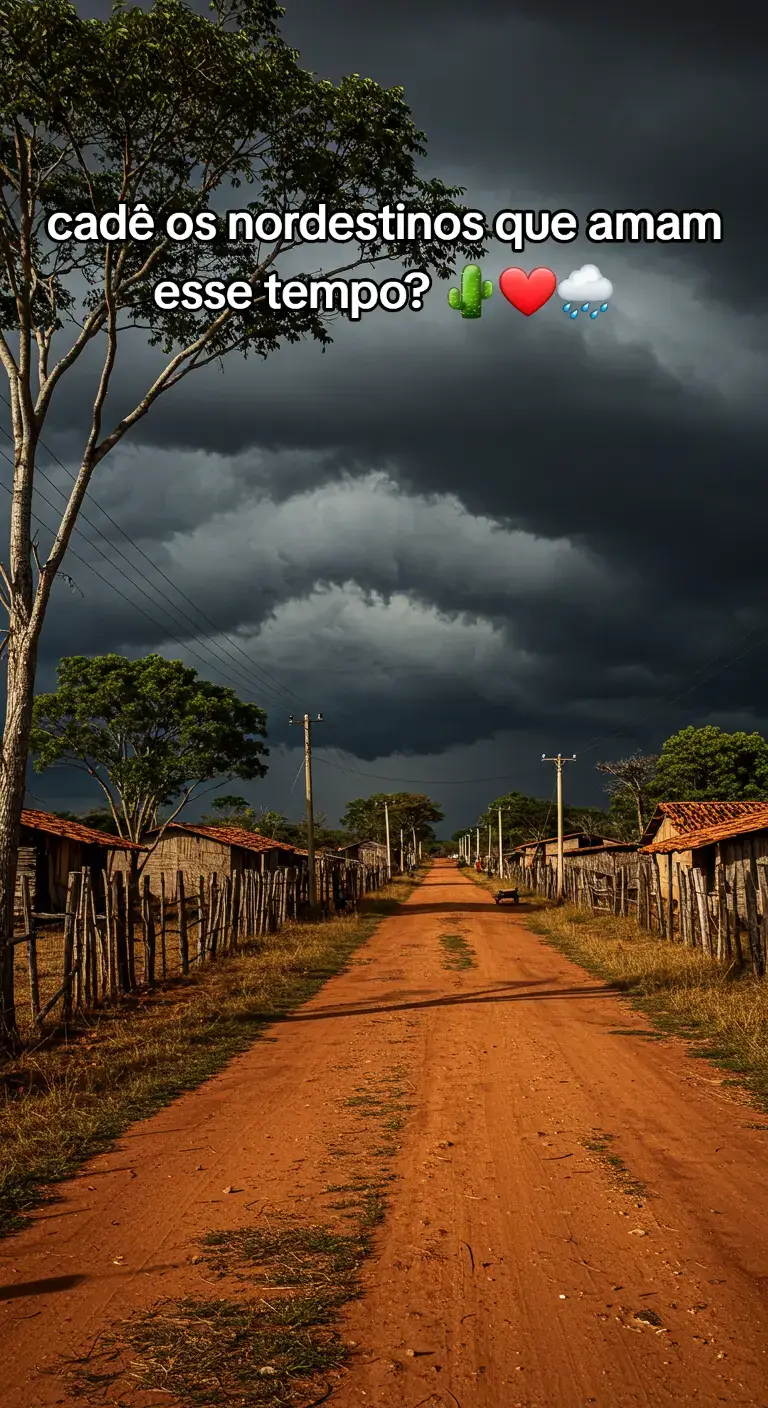 #nordeste #sertao #fy #fyp #nordeste #sertao #fy #fyp