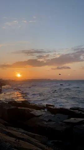 #explore #viral_video #fouryou #fyppppppppppppppppppppppp #alexandria #tiktok #amrdiab #اسكندريه #بحر #عمرو_دياب #حكم #حالات_واتس 