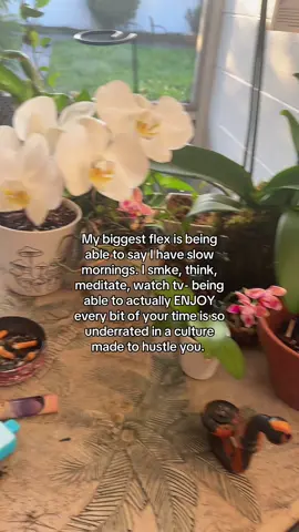 Something I sometimes take for granted #gratitude#evolution#freedom#freetime#plants#gardening#greatful#witchtok#witchesoftiktok