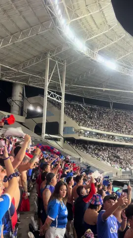 #losdeabajo #losdeabajos🔴🔵 #lanumero1 #udechile #vamoslau #niltonsantos 