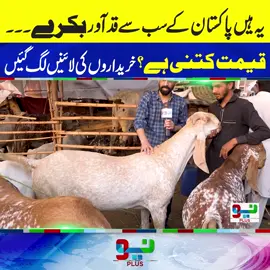 دربار کے گلک میں 70 لاکھ روپے ڈالنے والا کون ؟ #foryou #fyppppppppppppppppppppppp #foryoupage #NeoNews