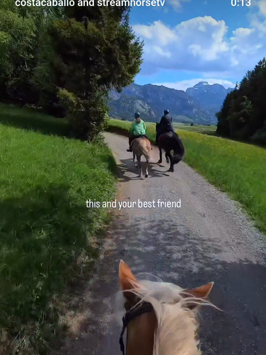 Would you really miss out on such a ride with your friends? Grassy trails, spring flowers pushing through, and that typical Bavarian sky we get when the sun wins the battle against the clouds. As we had wished for, the sun followed us through green fields and forest paths. And just quietly sitting in the background on the mountainside behind us: the famous castle of Neuschwanstein. 🐴 @ponyhof_fischer_brunnen 📸 @costacaballo #trailriding #haflinger #horses #ridingthroughnature #springride