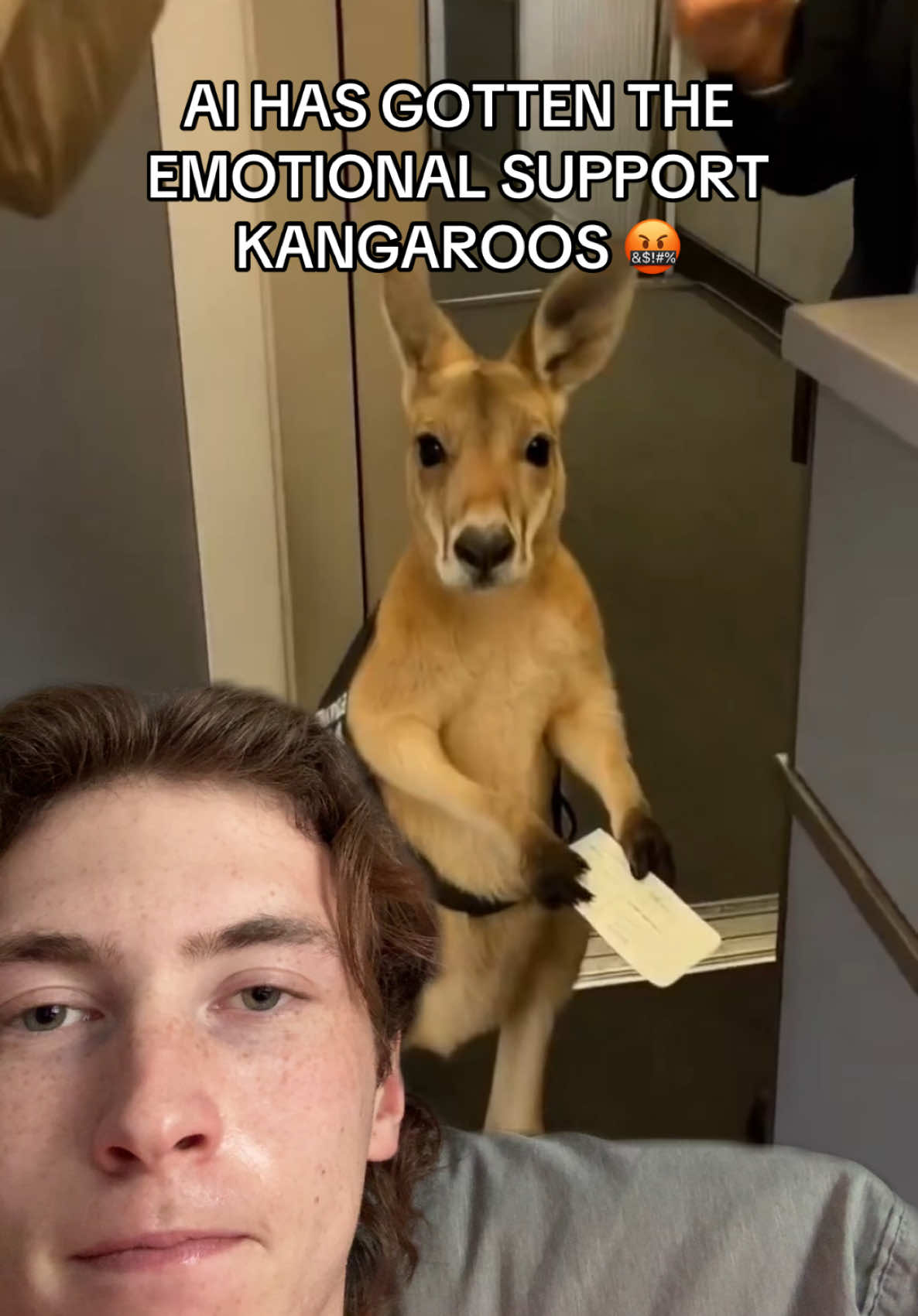 This is a new low for me #greenscreen #ai #aivideo #kangaroo #australia 
