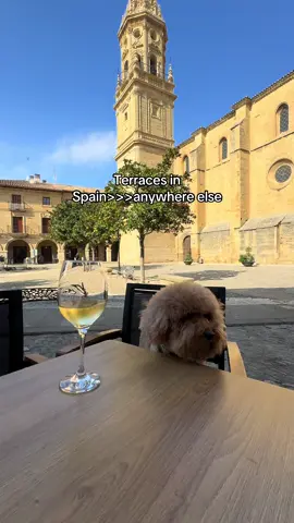 I will never stop appreciating how beautiful Spain is, even when you stop to get a coffee or a wine! We recently went to Texas for a visit and the patios there have NOTHING on Spain! #spain #spainlife #spainbeauty #lifeabroad #dogfriendlyspain #livingabroad #lifeinspain 