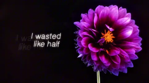 ☆Wasted Summers - Juju #songs #lyrics 