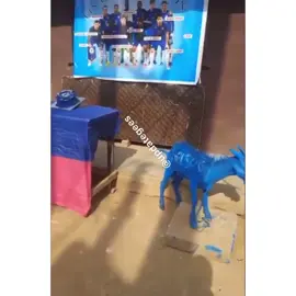 Up Blues 💙😂 #chelsea #blues #chelseafc #yorubatiktok #makatheblog #cruisetok #viral #fyppppppppppppppppppppppp 