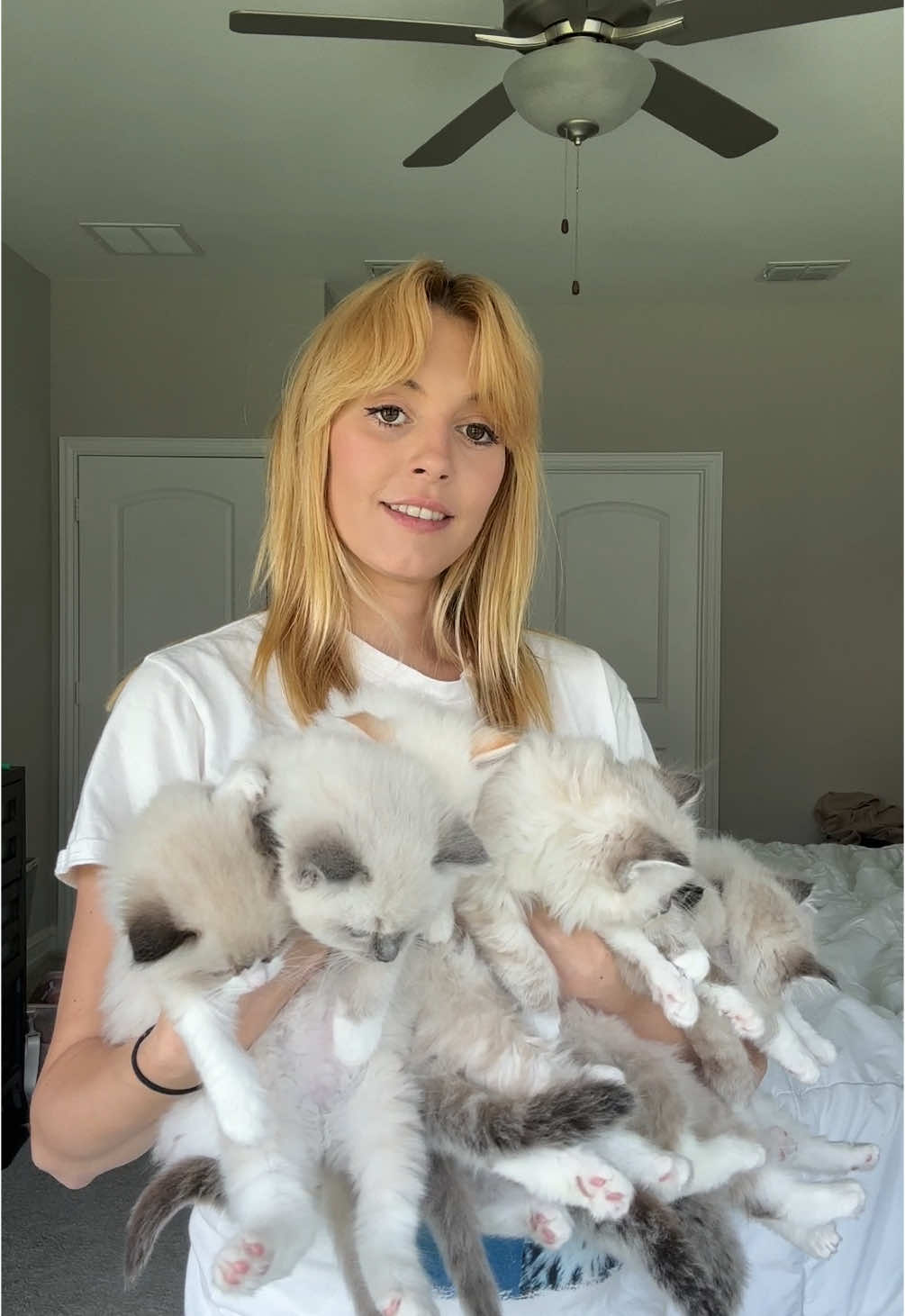 Doing the Ragdoll test with all 8 kittens. Which kitten is your favorite from these litters? 