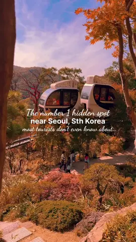 Add this incredible day trip to your South Korea itinerary. You won’t regret it! It’s easily one of my favorite places in Korea and, surprisingly, one of the simplest day trips to plan. Even better? It’s just a short trip from Seoul’s most popular spots! Yet, so many travelers miss this enchanting, fairytale-like destination, which really comes alive in Autumn 🍁✨ 📍 Hwadam Botanic Garden (also known as Hwadam Forest), Gwangju-si, Gyeonggi-do ✨ You can take this day trip from anywhere in Seoul 🚂 HOW TO GET HERE 🚂 - The subway from Seoul Station to Chowol Station, Gwangju takes 90 mins and costs around 10,000 KRW ($11AUD) -Take a 10 min taxi from there to Hwadam Botanic Garden for 12,000 KRW ($13AUD) ⭐️ TOP TIP: If you buy the KO Rail Pass, you can use this to travel  Use our @klookanz 10% discount code to book: KLOOKGABTK 🚶THINGS TO EXPLORE🚶 ✨ Ride the Monorail ✨ Visit Heart Bridge ✨ Lunch at Cafe 39 ✨ Explore Gyeonggi-do Province ✨ Visit the Korean Folk Village ✨ Stop in at  LuGe 360 Amusement Park ⭐️ TOP TIP: Hassle Free tours are available through @klooktravel for $36 USD. REMEMBER to use our discount code above! 🎟️ TICKETS 🎟️  If you have a foreign passport, no need to reserve tickets online. You can buy your tickets at the gate. To ride the monorail, you’ll need to arrive early 💵 ENTRY FEES 💵 11,000 won per adult, the monorail costs 9,000 won per person 🍂 BEST TIME TO VISIT 🍂 For the most magical experience, plan your visit between the last week of October and the first week of November. This will be your best bet to see the autumn colours The tiny little monorail floating through the trees is just so sweet in autumn and just as delightful in cherry blossom season. For me, skipping Hwadam was out of the question. And I’m incredibly glad we made the effort! Uncrowded, countryfied bliss! 📌 save & share for your South Korea trip Heading to South Korea soon? FOLLOW @global.and.beyond.travel we’ve got lots to show you! #southkorea #southkoreatrip #seoulkorea #seoultravel #seoullovers #welivetoexplore #hwadambotanicgarden #visitkorea #koreatravel