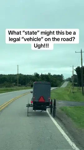 What state might it be?? #horse #amish #carriage #buggy #vehicle #fyp 