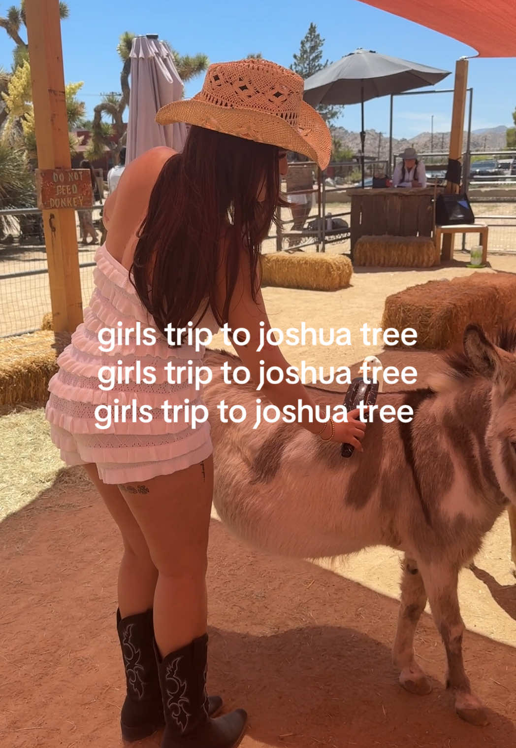the best staycation, you worn regret it #desertlife #roadtrip #joshuatreenationalpark 