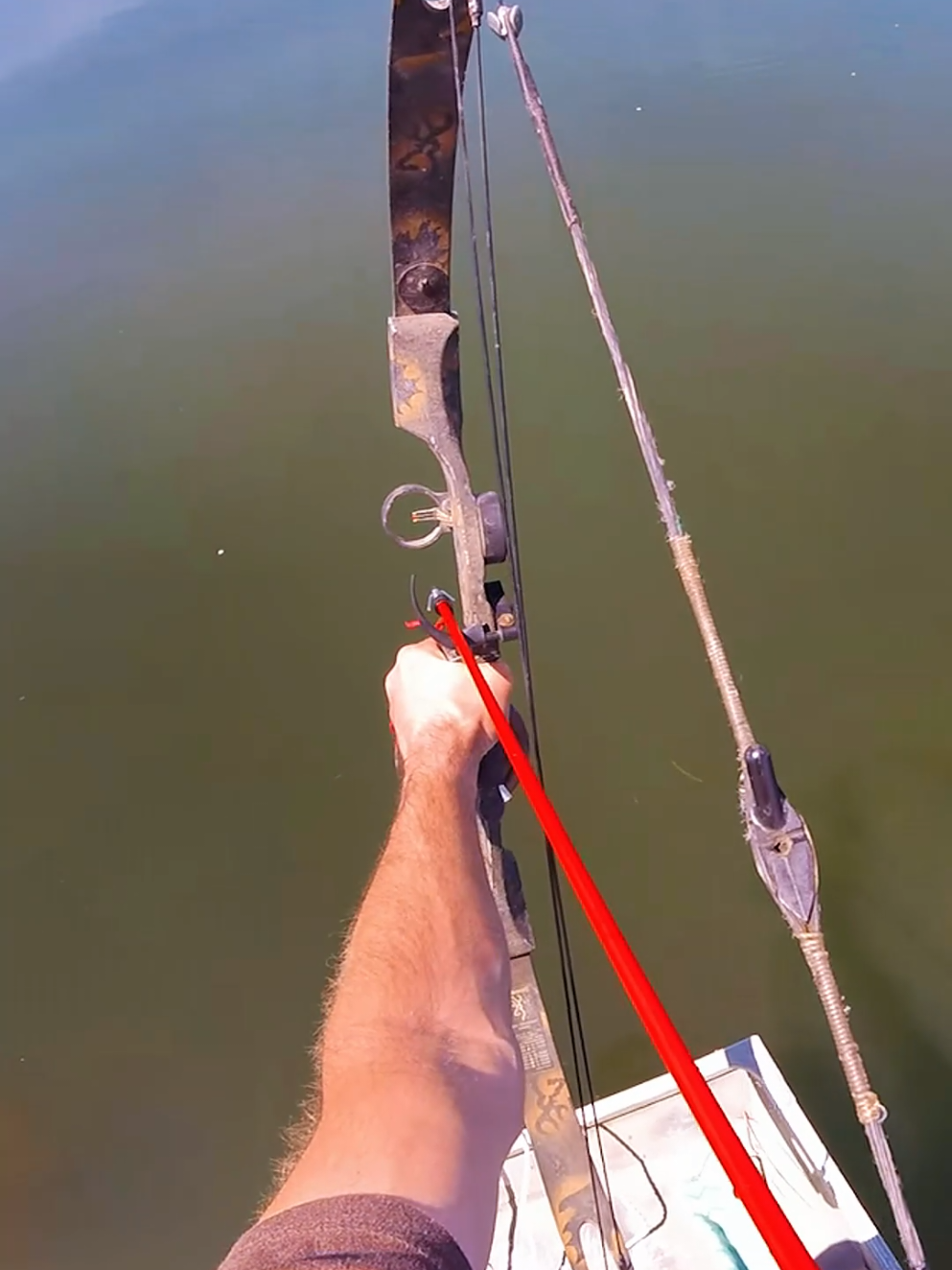 #bowandarrow #bowfishing #catchandcook #camping #fishing #outdoor #fyp 